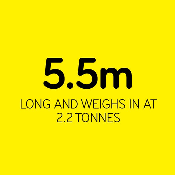 Evie fact 55m tile