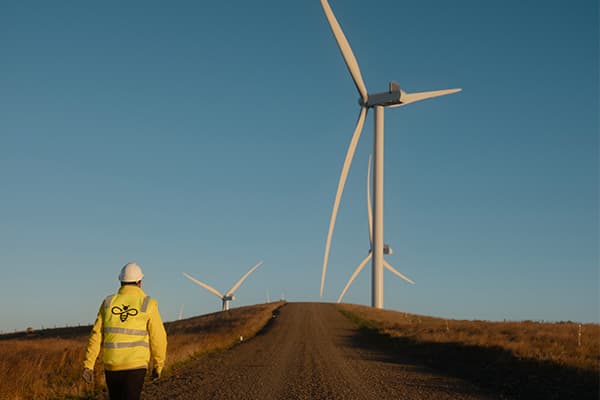 Kaiwera Downs Wind Farm