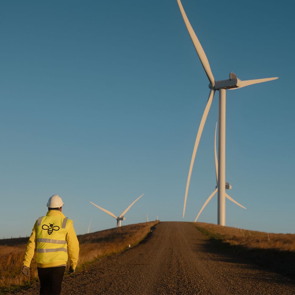 Kaiwera downs promo