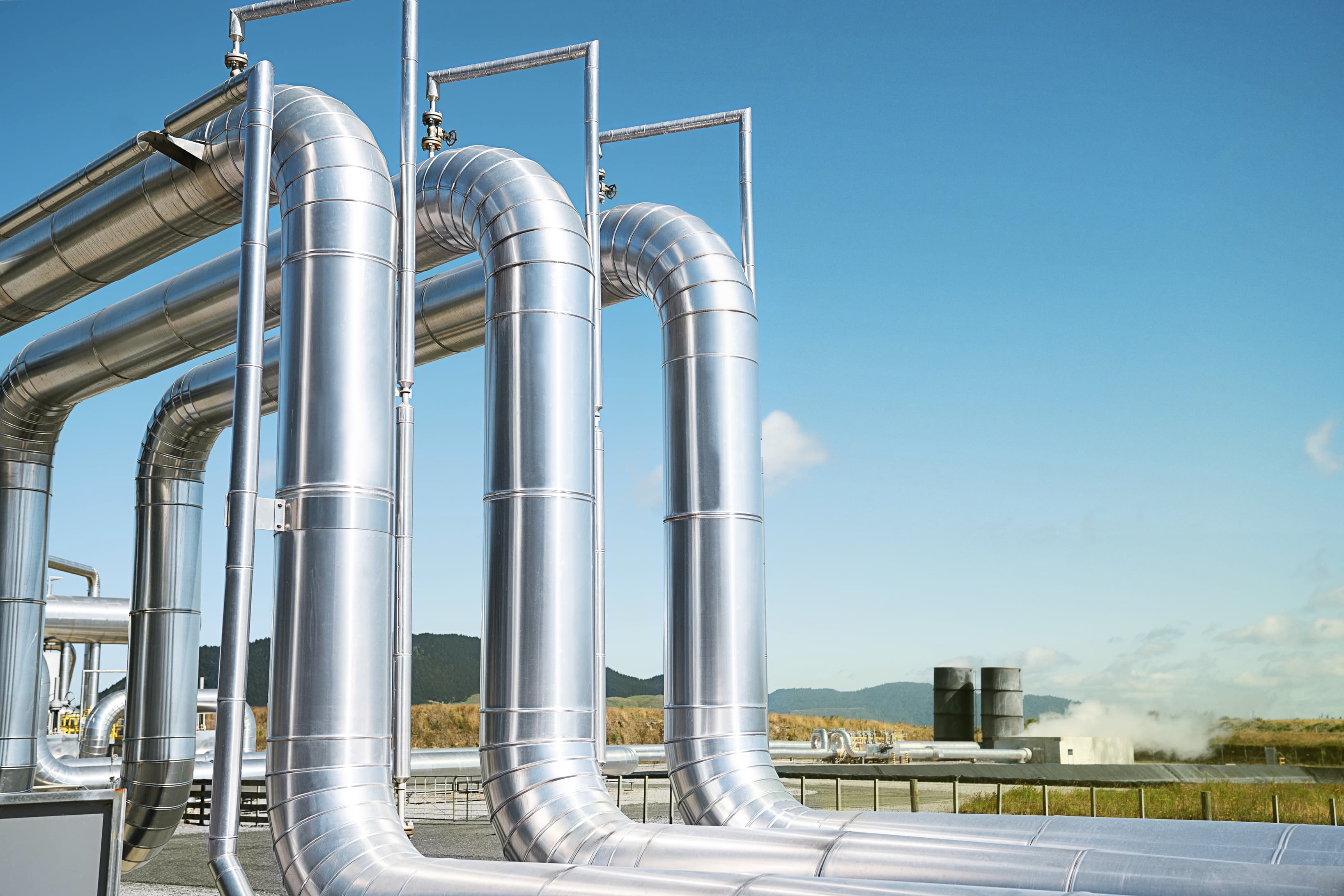 Nga Tamariki pipes 0009730