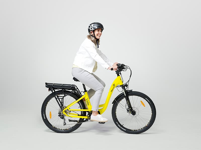 Sustainability Customer eTransport