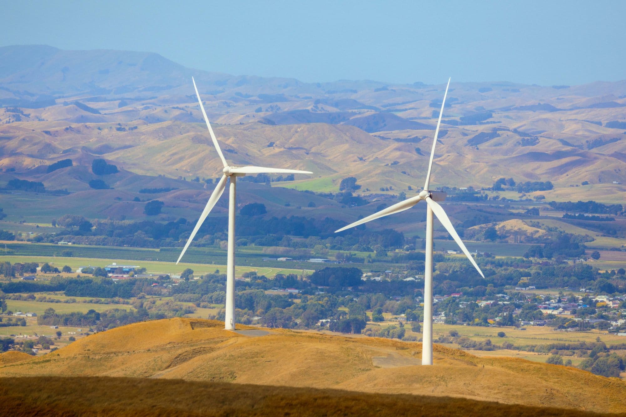 Tararua Hero