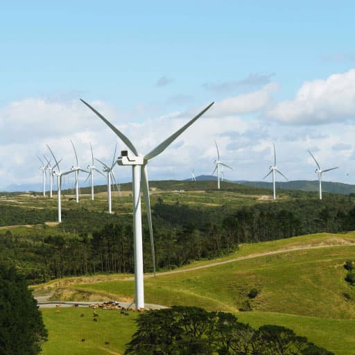 Turitea Wind Farm square 2