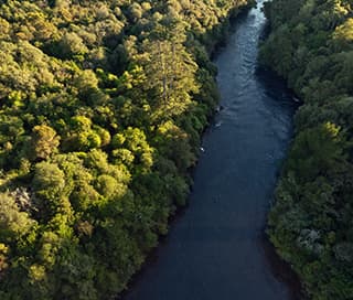 Waikato River