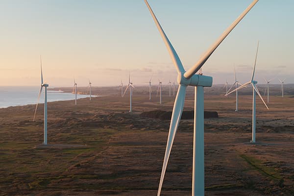 Waipipi Wind Farm