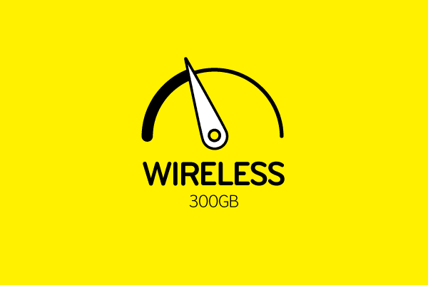 Wireless300