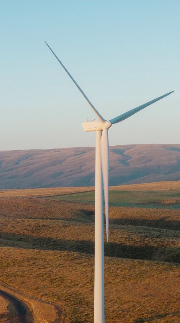 Mahinerangi Wind Farm