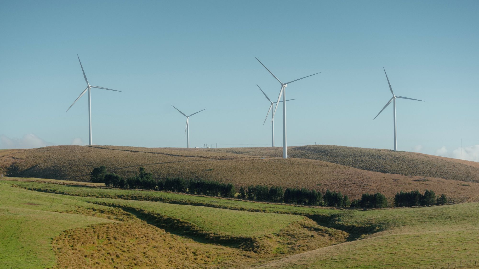 Mahinerangi Wind Farm is on the eastern foothills of the Lammermor Range in Otago. Photo: Stephen Wells
