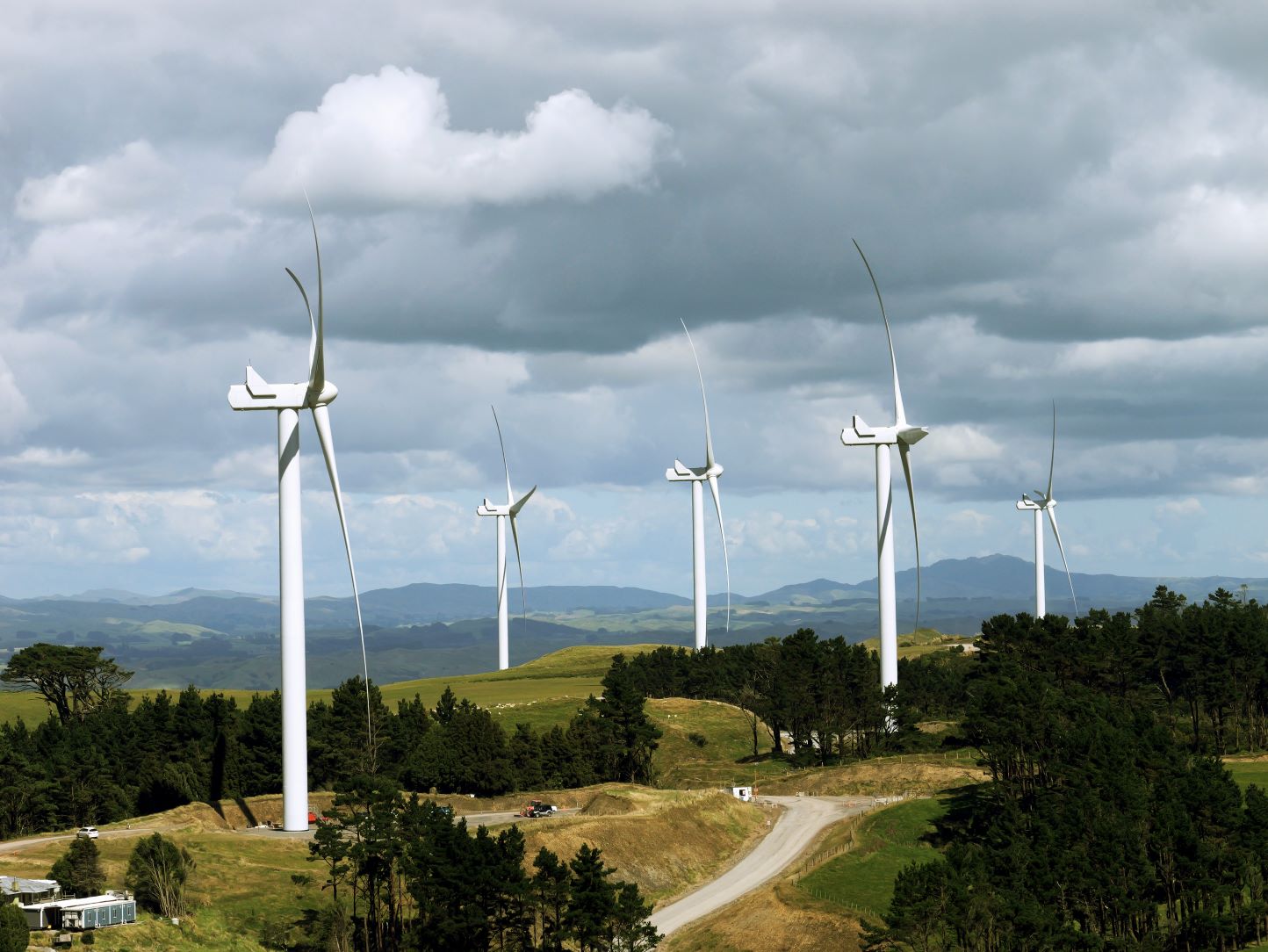 Turitea windfarm