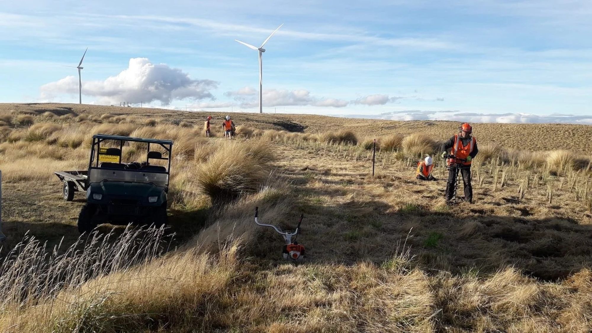 Monowai Ecological team managing tussock rehabilitation